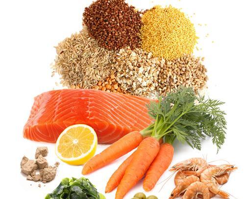 عکس غذا ی ماهی