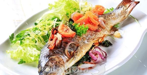 عکس غذا ی ماهی