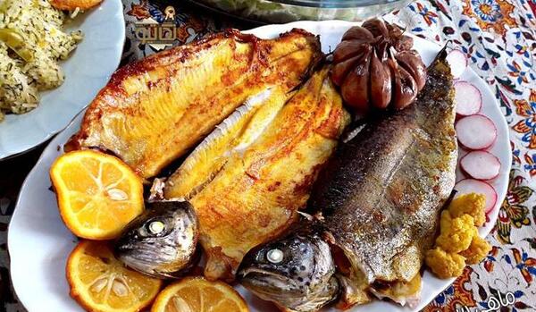 عکس غذا ی ماهی