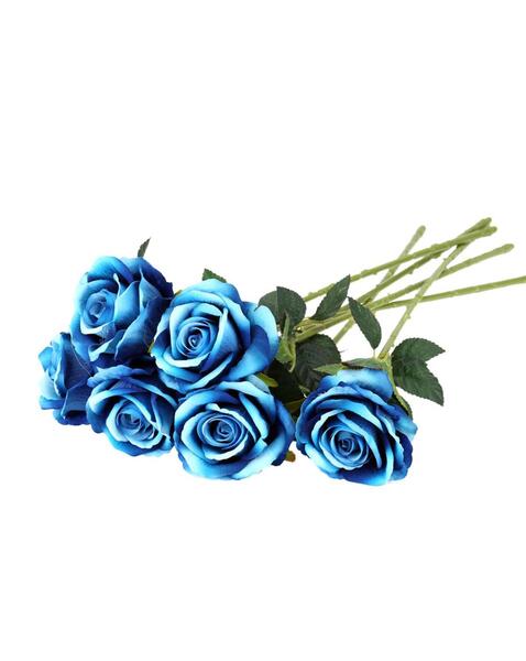 عکس گل رز فیروزه ای