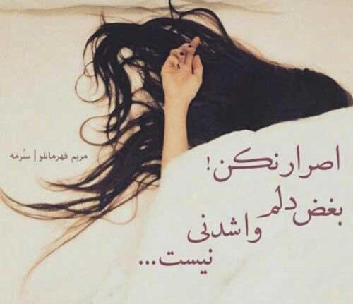 عکس گریه زیر پتو