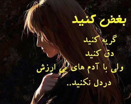 عکس گریه زیر پتو
