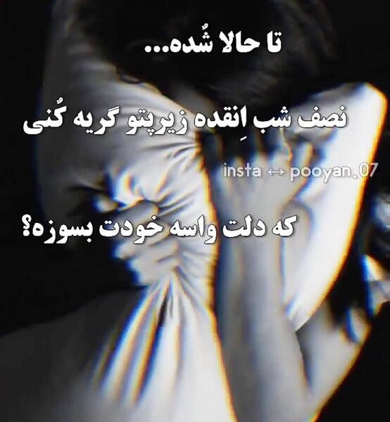عکس گریه زیر پتو
