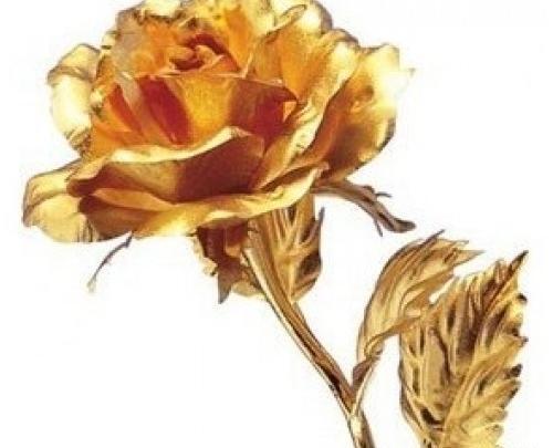 عکس گل طلایی