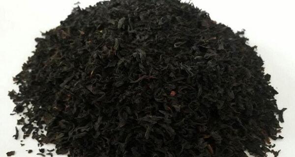 عکس چای شکسته