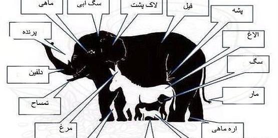 عکس های زیبا خطای دید