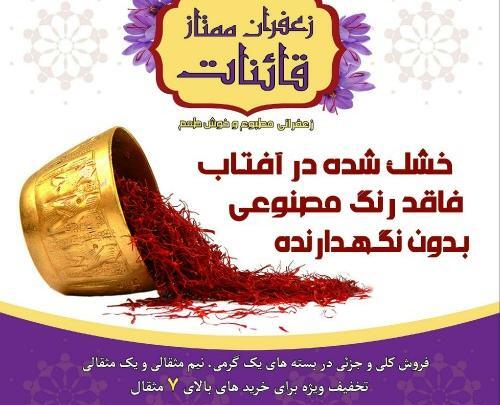 عکس پوریا رجبی