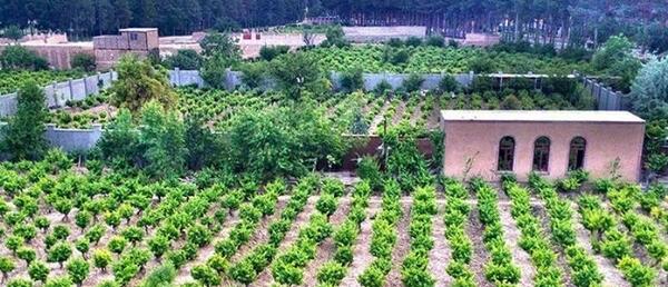 عکسهای خلیل آباد