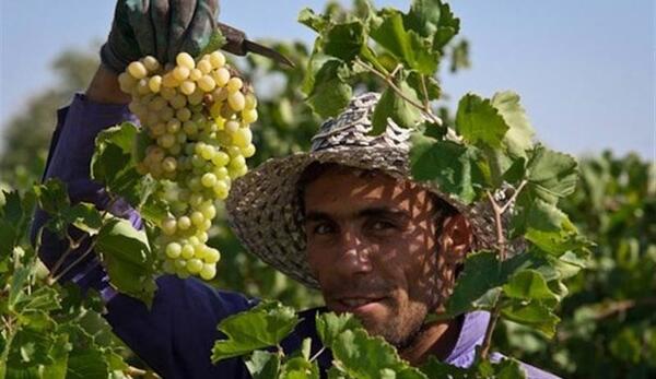عکسهای خلیل آباد