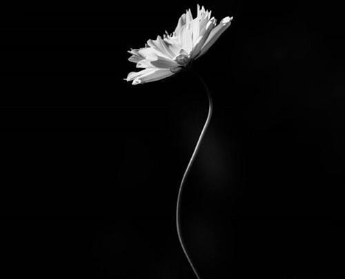 عکس مشکی ساده دخترانه