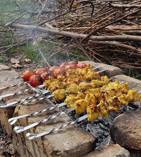 عکس چای در طبیعت بهاری