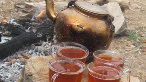 عکس چای در طبیعت بهاری
