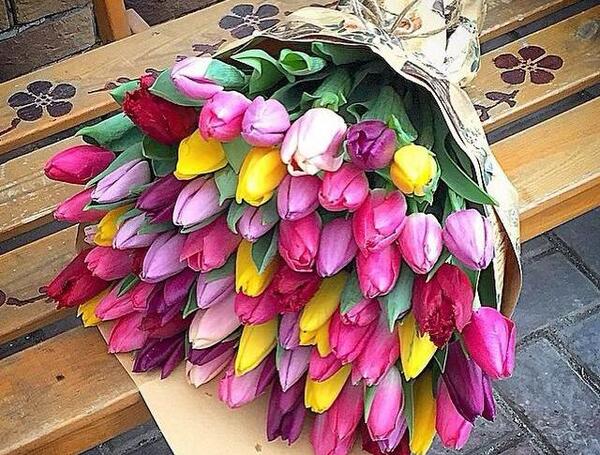 عکس خاص و زیبای گل