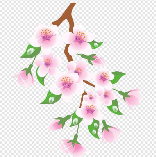 عکس شکوفه ریز