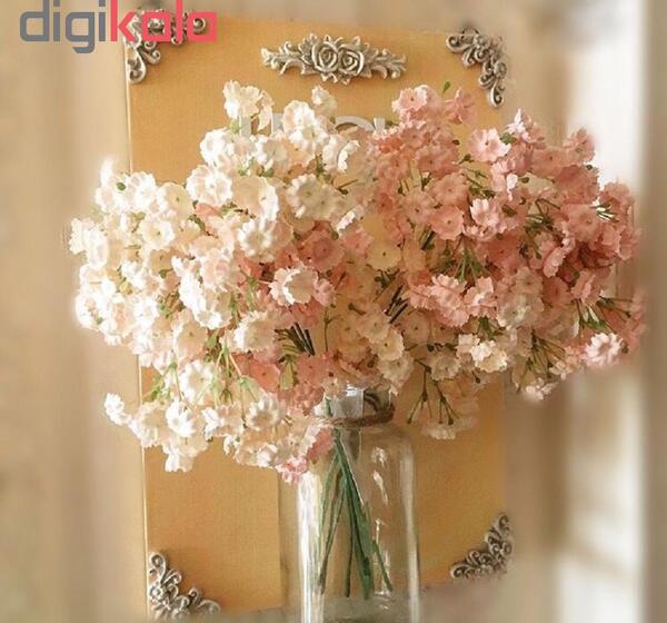 عکس شکوفه ریز
