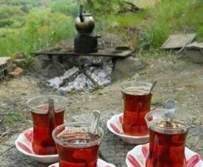 عکس چای و طبیعت