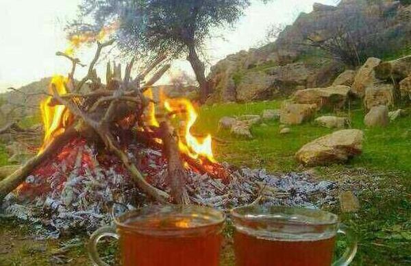 عکس چای و طبیعت