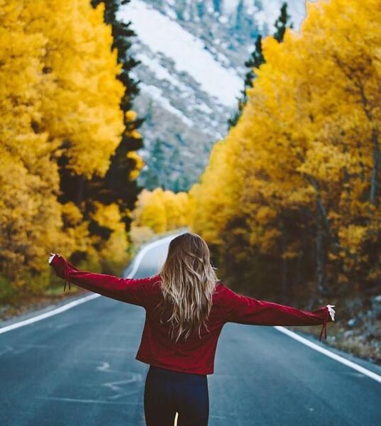 عکس جاده زیبا برای پروفایل