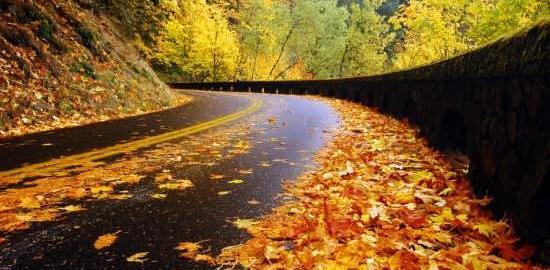 عکس جاده زیبا برای پروفایل