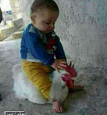 عکس های جالب گروه