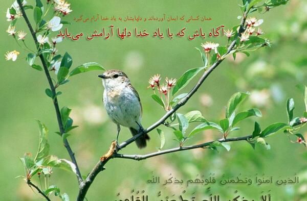 عکس طبیعت قرآنی