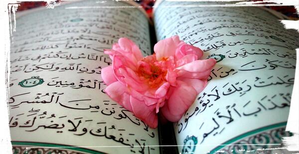 عکس طبیعت قرآنی