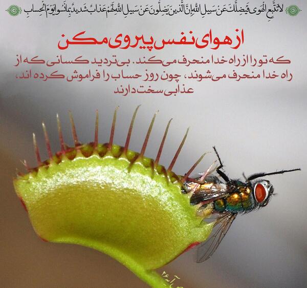 عکس نوشته هوای نفس