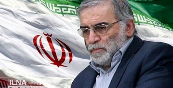 عکس صفورا مجری