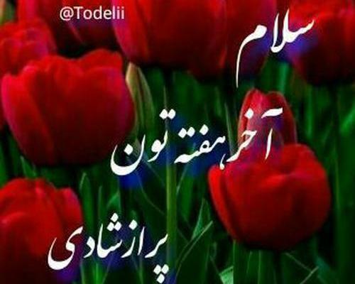 عکس صبح بخیر پنجشنبه