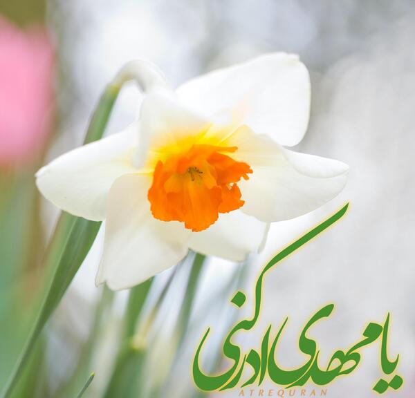 عکس نوشته مهدی ادرکنی