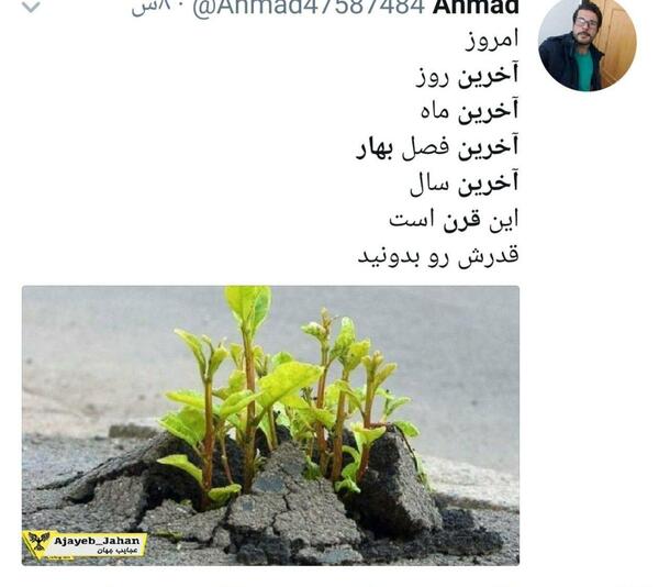 عکس نوشته آخرین بهار ۱۳۰۰