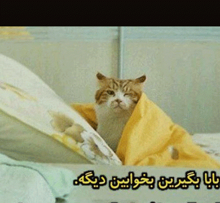 عکس خنده دار حیوانات با نوشته