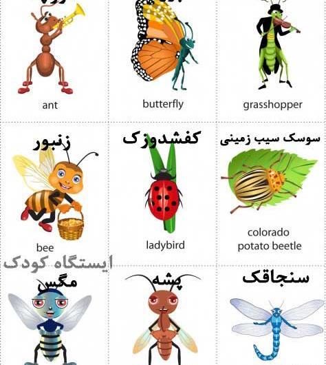 عکس کارتونی حشرات