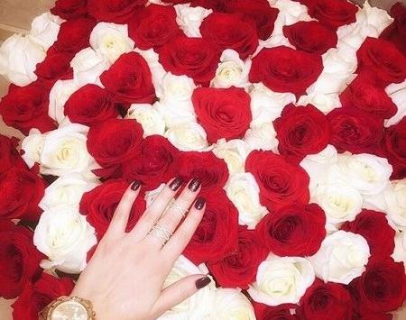 عکس گل زیبا برای پروفایل قشنگ