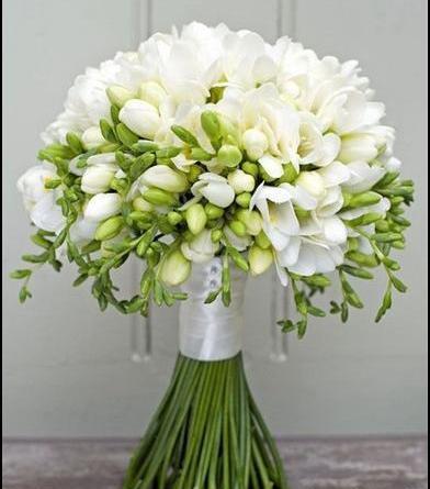 عکس دسته گل نرگس بزرگ