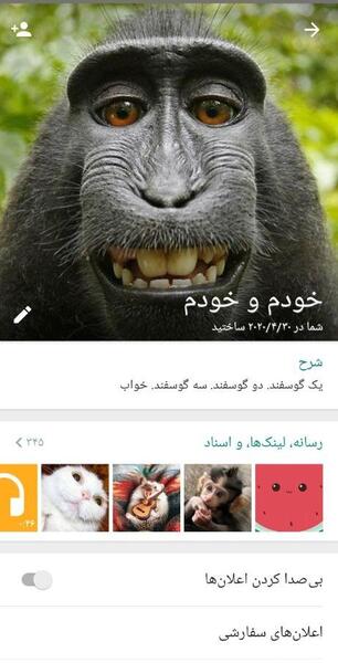 عکس شیر هویج