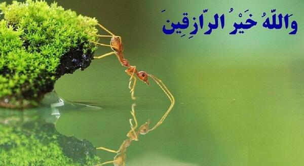عکس نوشته خدا روزی رسان بی حساب است