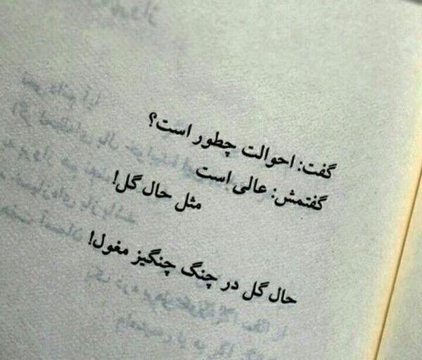 عکس نوشته تو به اندازه پروانه شدن زیبایی