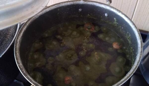 عکس قورمه سبزی در حال پخت