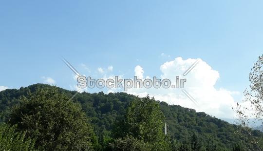 عکس آسمان جنگل