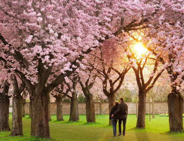 عکسهای بهاری عاشقانه