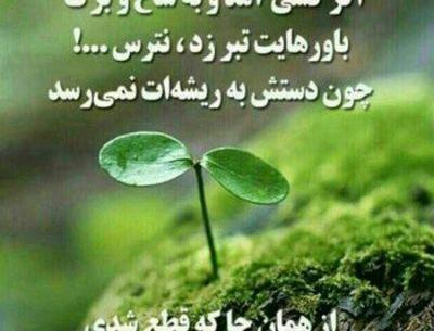 عکس نوشته قوت قلب