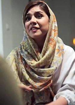 عکس شقایق خاموش چشم