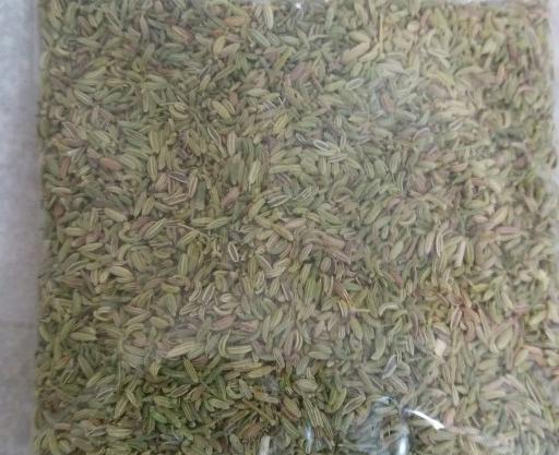 عکس رازیانه خشک شده