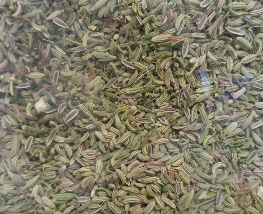 عکس رازیانه خشک شده