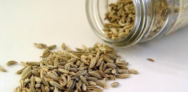 عکس رازیانه خشک شده