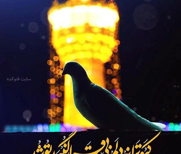 عکس امام رضا نوشته دار
