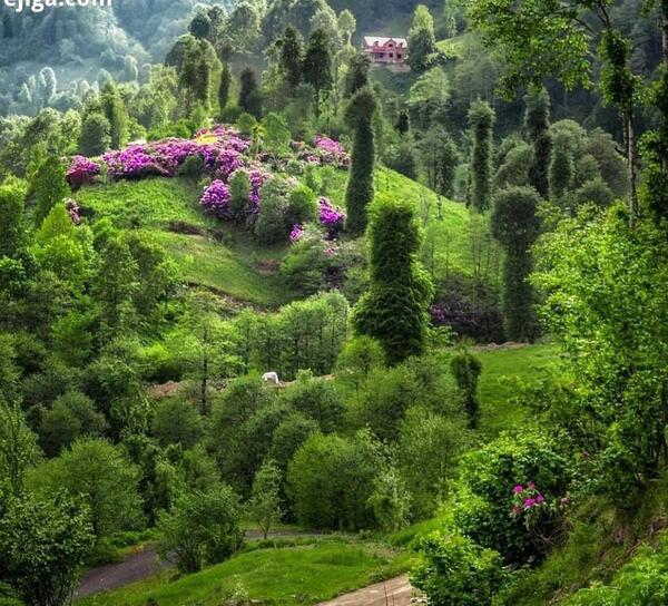 عکس طبیعت خدا