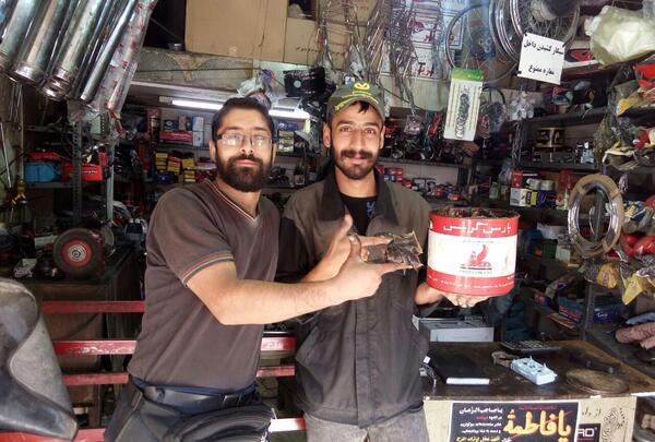 عکس بهنام یعقوبی