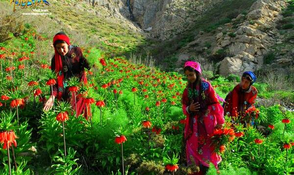 عکس ایران زیبا